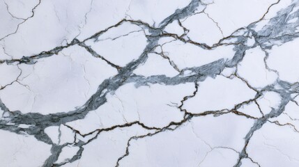 Fototapeta premium White Marble with Dramatic Dark Veins for Luxury Designs