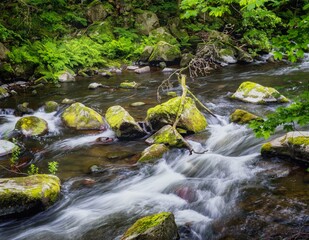 Obraz premium Photograph of the wild Bode in the Bodetal valley of the Harz nature reserve