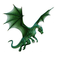 Obraz premium dragon on white background