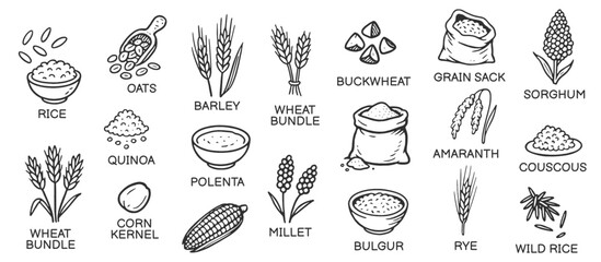 Grains and cereals doodle icon set. Cute hand drawn sketch illustrations of rice, oats, corn, quinoa, agriculture grains, barley, millet. Black and white art for food ingredients.