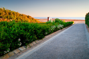 Sunset on the island of Cyprus with an asphalt road towards the sea, Olive tree beach, Paphos,...