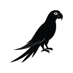 Obraz premium A macaw bird silhouette vector illustration.