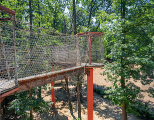 Elevated wooden canopy walkway with rope netting and supporting beams surrounded by lush green...
