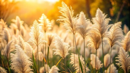 A vibrant summer landscape showcases a golden wheat field ripening under the sky, promising a bountiful harvest of grain