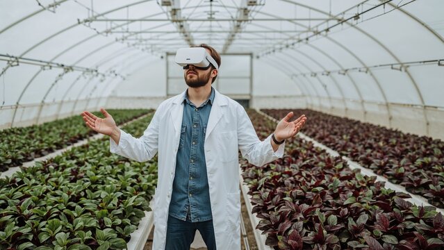 Exploring bearded scientist examining leafy crops in greenhouse, with lab coat and VR headset