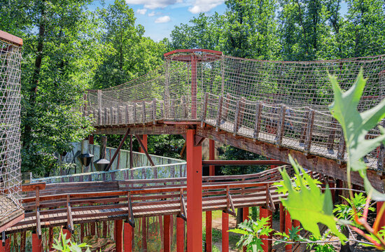 Elevated wooden canopy walkway with rope netting and supporting beams surrounded by lush green forest on a sunny summer day.