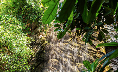 Obraz premium A tropical waterfall flows gently over moss-covered rocks surrounded by lush green jungle foliage in bright natural sunlight.