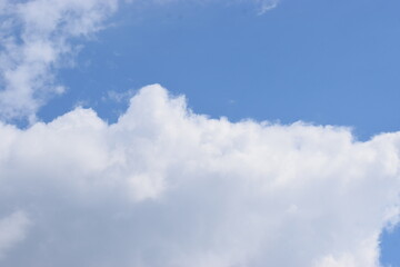 The photo shows the sky with clouds and silhouettes of treetops in the foreground after rain.