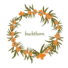 Sea buckthorn wreath. Hand drawn vector branches with orange berries. Autumn botanical border design. Decorative herbal frame for invitations, packaging, or seasonal decor. Isolated on white backgroun