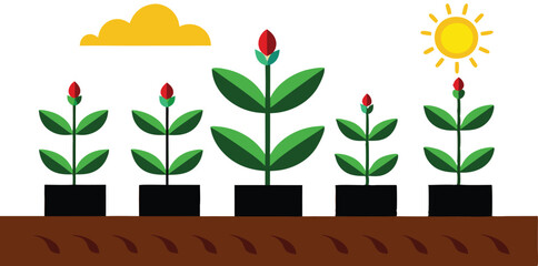 An illustration depicting the stages of plant growth, from seedling to mature plant, often with elements like roots, leaves, and flowers