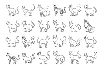 Collection of diverse cat breeds in line art style isolated on white background