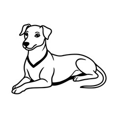 Fototapeta premium Relaxed Canine Lying Down - Comfortable Dog Vector Illustration with Collar Detail