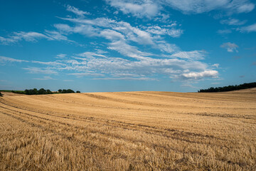 An open agricultural field after harvest, with rolling terrain and a cloudy sky in the background.