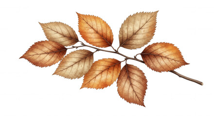 Obraz premium Detailed autumn branch with brown and orange leaves isolated on transparent background