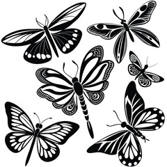 Fototapeta premium Vibrant Collection of Multicolored Butterflies in Isolated Flight