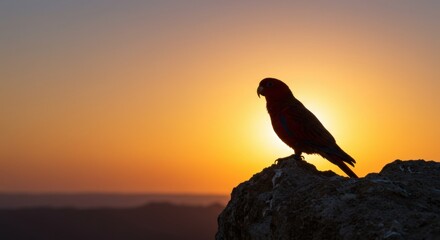 red parrot bird | A vibrant parrot silhouette perched on a rocky outcrop against a stunning sunset, showcasing the beauty of nature and wildlife in a serene landscape