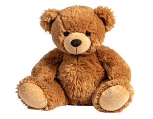 Teddy bear toy isolated on white