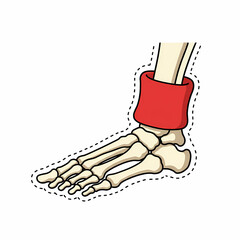 Anatomical illustration of human skeleton foot with red ankle band  