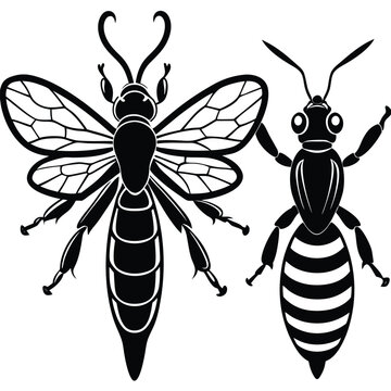 Vector Silhouette of Wasp or Bee on a White Background
