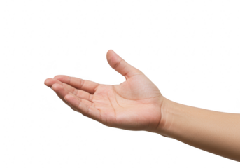 An open human palm is facing upwards, ready to receive or give, isolated on white isolated on transparent background