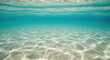 Naklejka premium Sunlight filters through the clear turquoise ocean surface, illuminating the sandy seabed