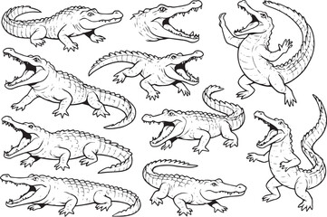 Alligators posing with open mouths reptile animal