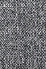 Abstract Texture Pattern of Black and White Lines Creating a Complex Visual Design