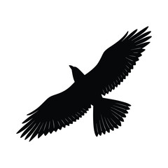 Fototapeta premium Silhouette of a Flying Bird with Spread Wings — Black Minimal Vector Design