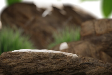 Close-up of a textured, dark brown rock with a small patch of off-white substance.  Blurred background features more rocks and green grass, suggesting a natural outdoor setting