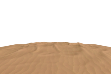 Low-angle view of a sandy landscape, possibly a dune, with a thin. The sand appears smooth with subtle textural variations