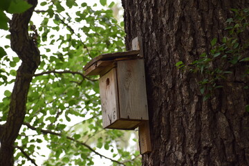 wooden bird house