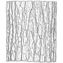 Intricate bark pattern with ridges and fissures in a detailed monochrome linear illustration