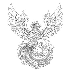 Obraz premium Firebird detailed phoenix design with spread wings and flames in black and white illustration