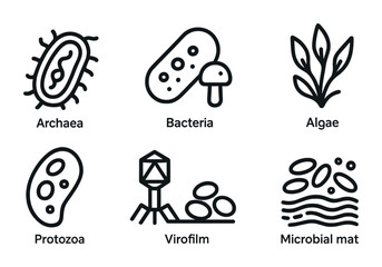 Extremophile Outline Icons. Outline icon set of extremophile diversity: archaea, bacteria, fungi, algae,