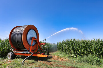 Arrosage ma&iuml;s, champs de culture c&eacute;r&eacute;ales