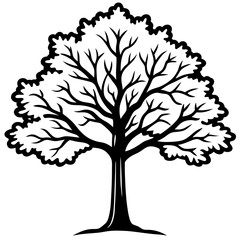 Obraz premium Vintage Oak Tree Outline Vector