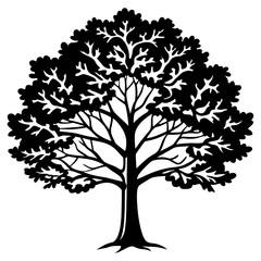 Fototapeta premium Vintage Oak Tree Outline Vector