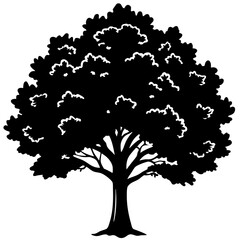 Fototapeta premium Vintage Oak Tree Outline Vector