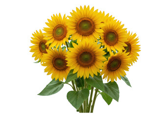 A vibrant bouquet of bright yellow sunflowers in full bloom, isolated on a transparent background