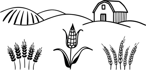"Farm Harvest Illustration – Corn, Wheat, and Barn in Rural Landscape"