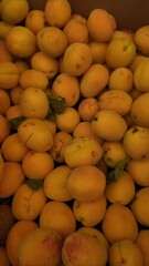 Fruit Background as Close Up Photography