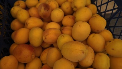 Fruit Background as Close Up Photography