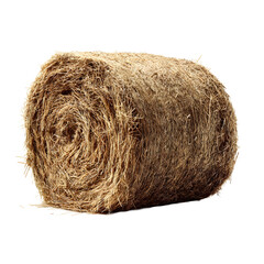 Rolled Hay Bale on White Background
