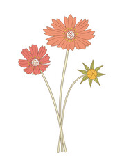 Bright bouquet of cosmea flowers. Bunch of blooming perennial wild plants. Botanical hand-drawn elements for design projects. Vector illustration