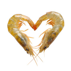 Two Shrimps Forming a Heart Shape on Transparent Background