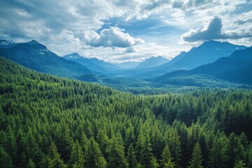 The view from Mount Revelstoke overlooks a forest under a blue sky with clouds in British Columbia, Canada