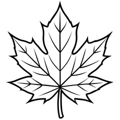 Maple Leaf Vector Illustration
