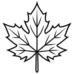 Obraz premium Maple Leaf Vector Illustration