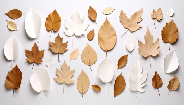 Autumnal leaf arrangement