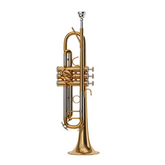 Elegant trumpet against dark background simplicity